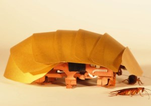 This tiny ‘cockroach robot’ may be the future of search and rescue missions article image