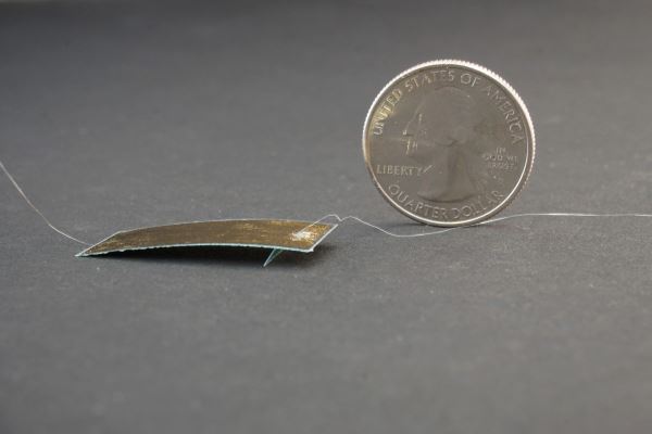 Tiny cockroach robot