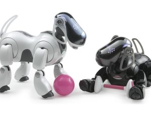 Sony jumps back into robotics with new robo dog article image