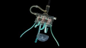 This robotic hand is so soft it can handle a jelly fish article image