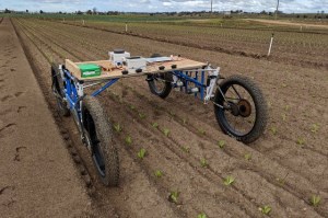 New Aussie ag robot is the perfect farm hand article image