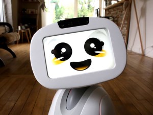 Every home should have one: Companion robots a hit at CES 2018 article image