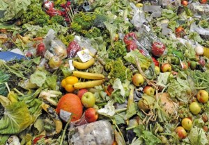 How the packaging industry can minimise food waste article image