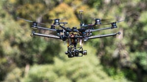 Drones to seek out surviving koalas in bushfire zones article image