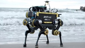 Meet ANYmal, a daredevil robot that loves a challenge article image