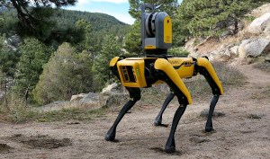 Boston Dynamics partners with NZ robotics startup Rocos article image