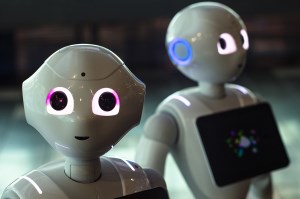 Queensland to invest $50m in AI and robotics innovation article image