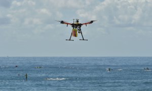 New AI shark detection system wins top innovation award article image