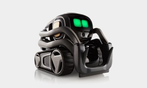 Need a pal? Vector the mini-bot will brighten your day article image