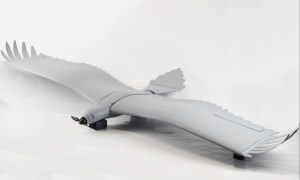 Drones that can fly like birds are about to take flight article image