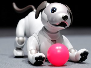 Need a loyal four-legged friend? Robo-pets are a great alternative article image